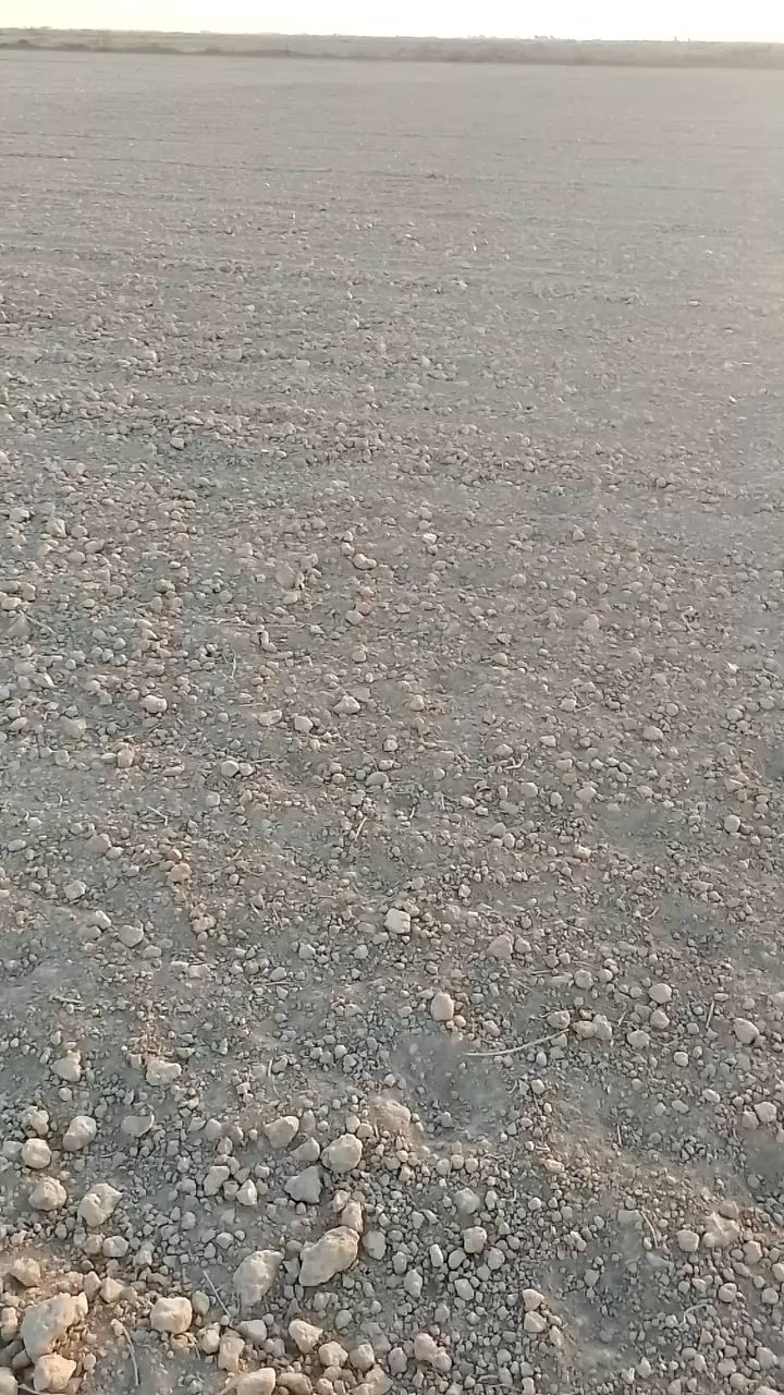 السلام عليكم للأيجار ارض زراعيه خصبه درجه اولى المساحه (٢٢) دونم مستصلحه ماء سقي سيح قنوات معدله ليزر تصفير مكان الأرض واسط قضاء الصويره رقمي (***********)

