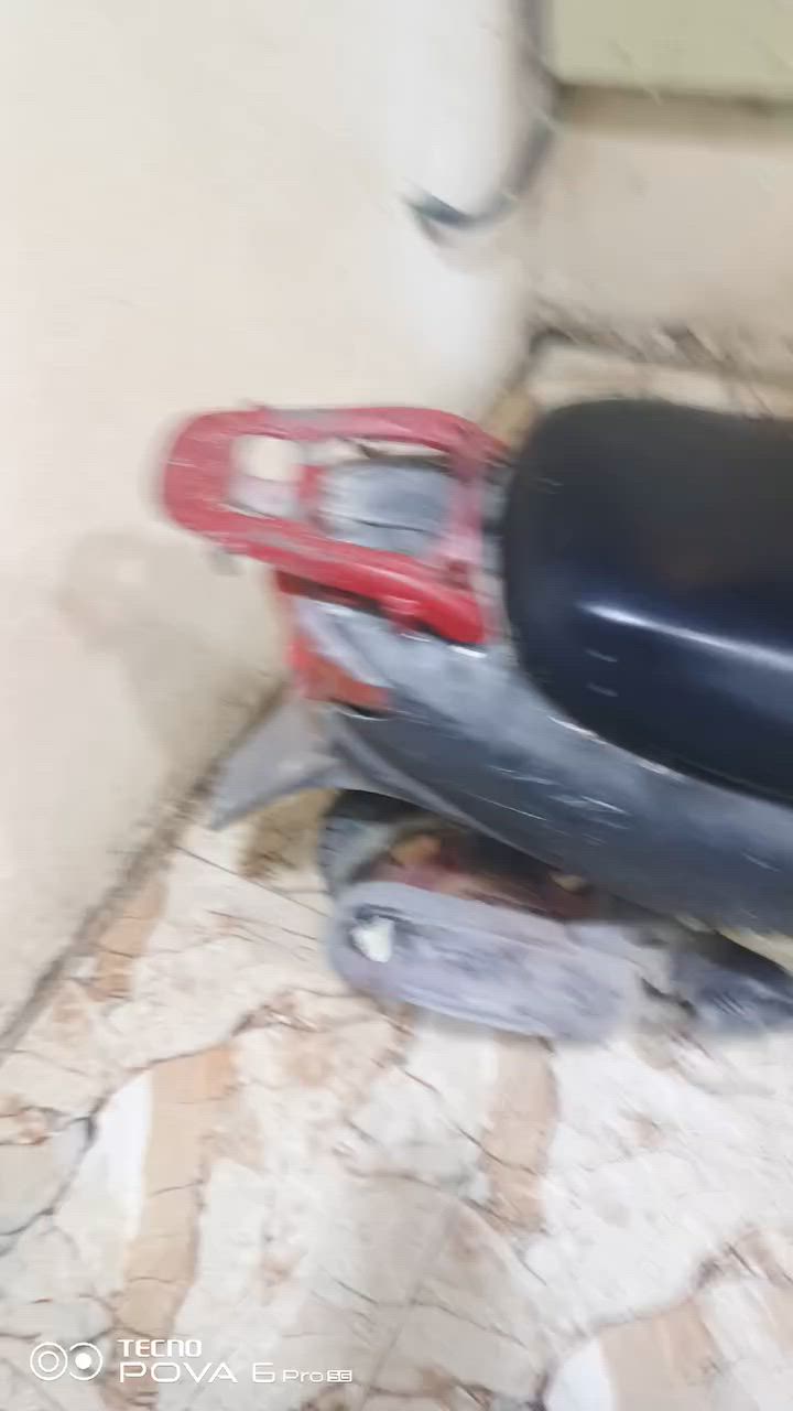 وزوازه عصفوري للبيع السعر على الرقم ***********
