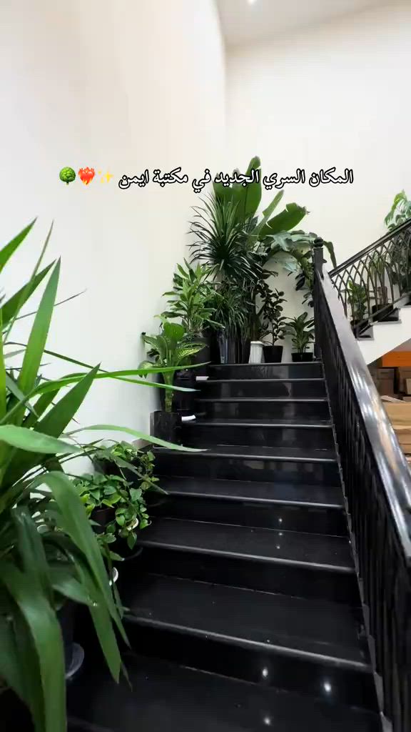 للحجز او معرفة سعر حمل تطبيق مكتبة ايمن #مكتبة_أيمن #مكتبة_أيمن_شارع_الوفود #مكتبة_أيمن_شارع_البهو #مكتبة_أيمن_القرطاسية_لعبتنا #عراق       


**إذا كنت صاحب هذا الإعلان وتريد حذفه لأي سبب، رجاءا أرسل رسالة إلى الدعم الفني**