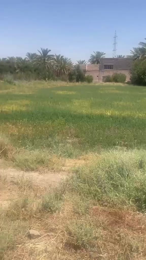 سلام عليكم ارض للبيع ابي غريب  مقابيل جامع ارباكات مساحته دونم ونصف موجوده يمه كافه الخدمات استفسار واتصال ع رقم ***********
