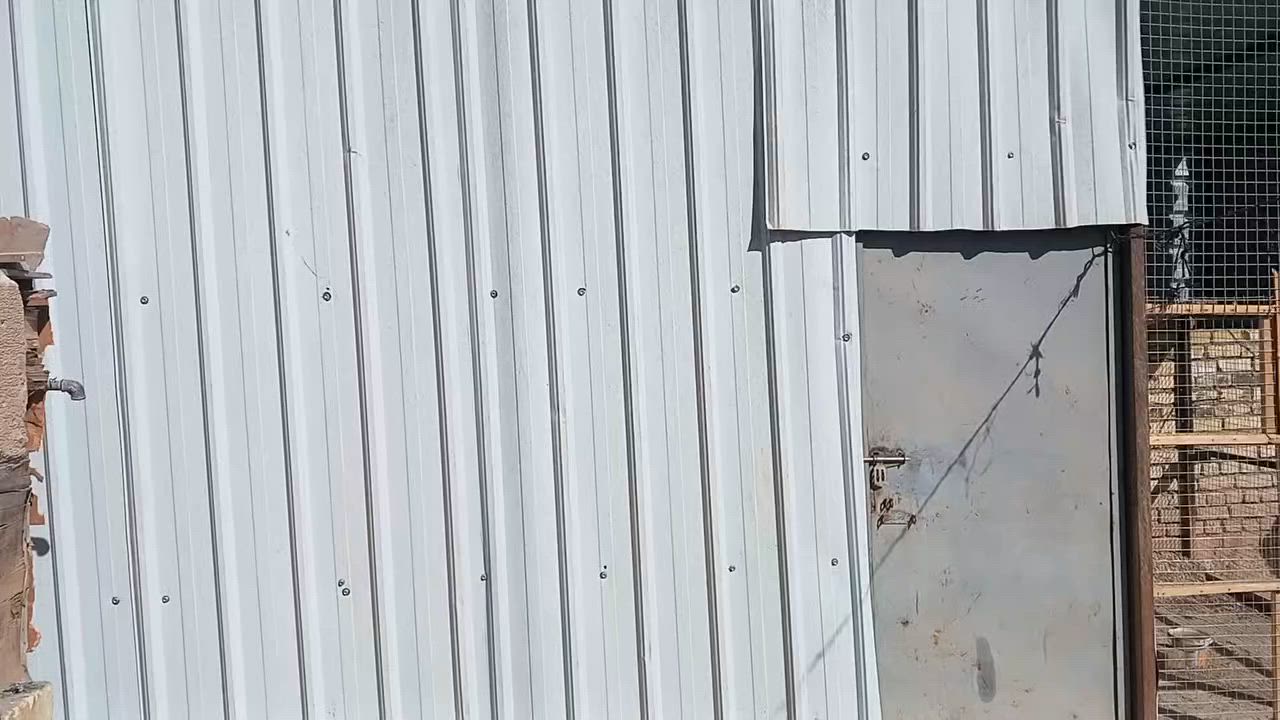 سلام عليكم شباب قمريه جينكو  جدد بوري شخاط جدد
العرض ٣ في ٤ 
السعر ب  بمليون وربع وبيه مجال 
صار شهر من مشتغله 
الشراي هاذ رقمي 
***********
العمارة الماجديه
