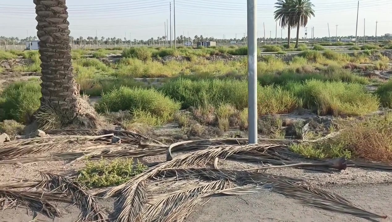 يا الله عرض مميز
سلام عليكم بسعر مناسب 
600متر طابو زراعي سند 25 تحويل مباشر
الوجها 30والنزال 20
تريد 200متر نبيع تريد 400متر هم نبيع 
خدمات كامله تبليط ماء اساله كهرباء 
تصير سكن او استثمار 
سكن موجود يمك 
التفاصيل أكثر بالفيديو 
العنوان حله التاجيه خلف جامعة المستقبل 
موقع مرتب كلش 
السعر والتفاصيل أكثر خاص او الاتصال على الارقام او المراجعه مكتب الرحمن حله شارع 100 
#ملاحظة# لمن يرغب في
 عرض عقار او ارضه طابو صرف او طابو زراعي عليه مراسلتنا او الإتصال
***********
***********
