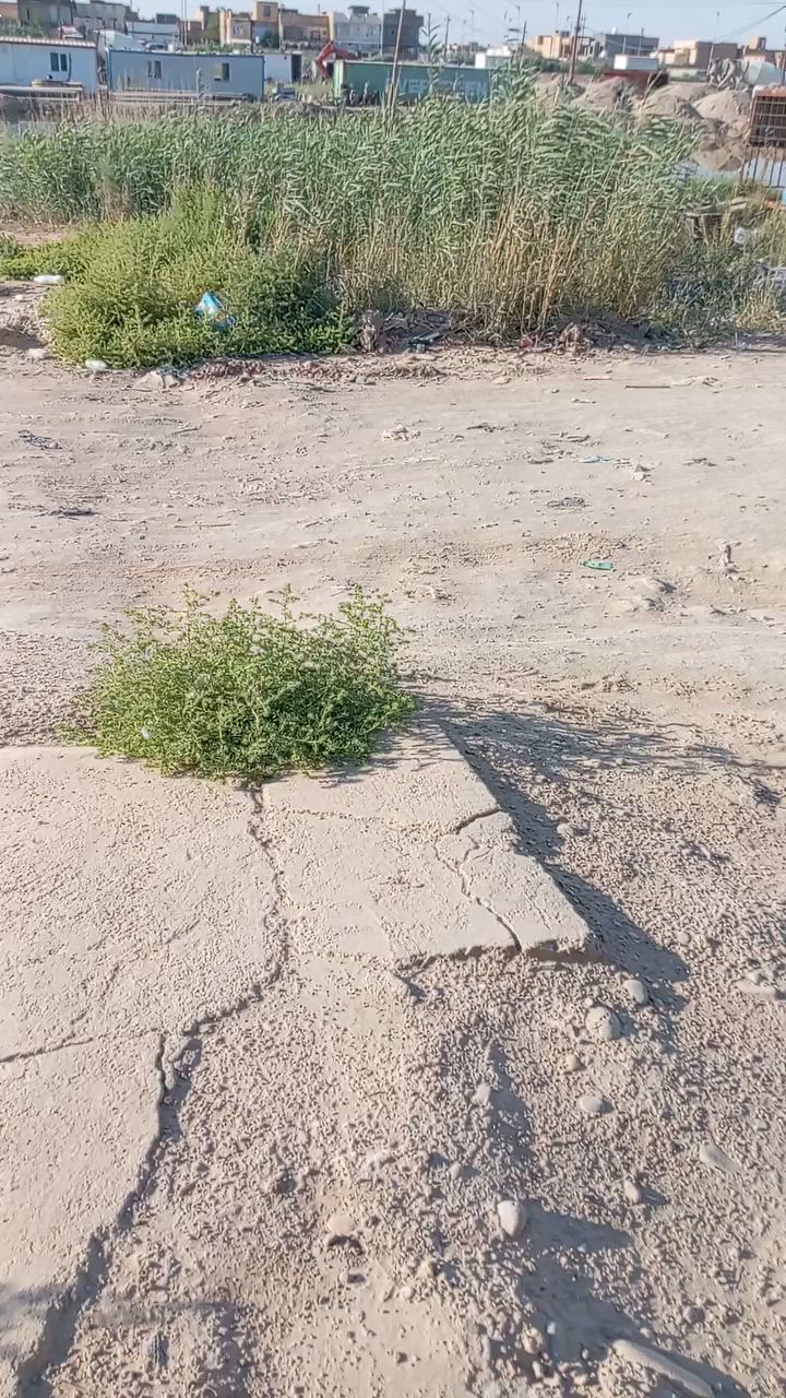 بيت للييع مساحته 200متر طابقين فوول مواصفات
الطابق الاول غرفتين نوم واصاله واستقبال ومطبخ وحمام
الطايق االثاني غرفتين نوم واصاله
السفحه الثانيه ع الدجليي مقابل شارع الشيرازي
ملاحظع البيت مطلوب إسكان 60
الاستفسار الاتصال
***********

