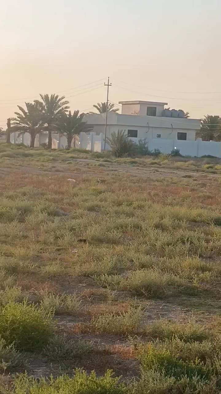 دوانم طابو زراعي سند 25ابو غريب عشره مناصير تصلح سكن وشاليهات سعر الدونم 60 رقمي واتساب ***********
