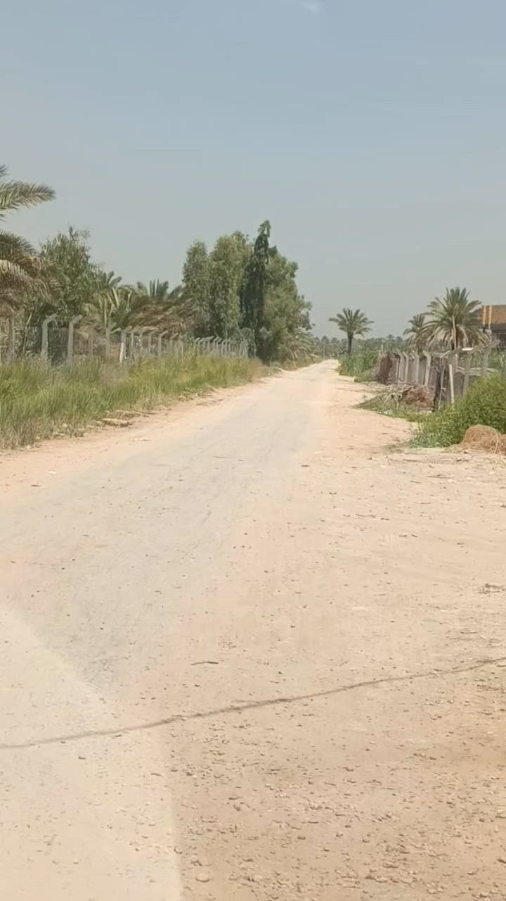 للبيع قطع اراضي زراعيه ملك صرف مقسمات على 500متر واجهه 30متر
متوفر جميع الخدمات ما عده التبليط عنوان شارع رابط بين شارع 100 وبزل حجي علي وتنباع منها 250متر او أكثر 
ملاحظه الأرض ملك صرف وسعرها حلو جوه سوق للاستفسار مراجعه مكتب حي الحسين للعقار أو الاتصال 
***********
***********
