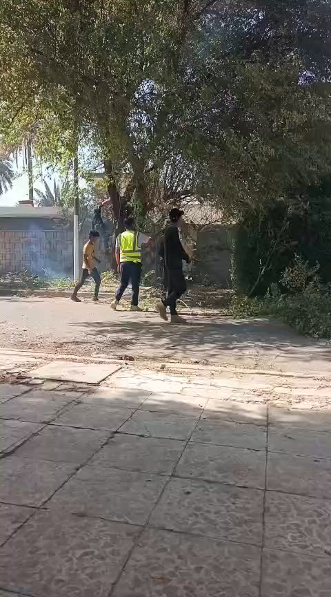 قطع لشجار مجاني بغداد واتساب ***********
