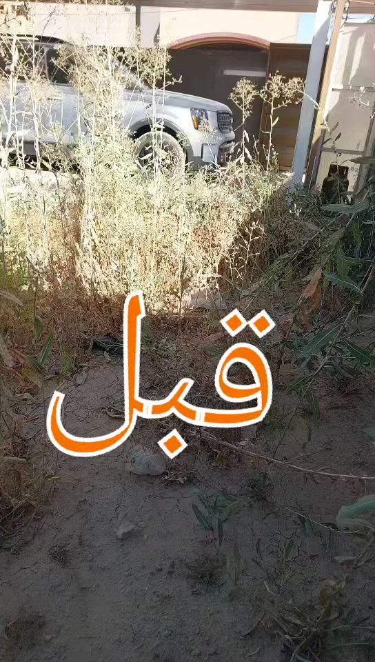 نجاز حديقه بحي المعلمين في المسيب حسب طلب ابو البيت
***********
