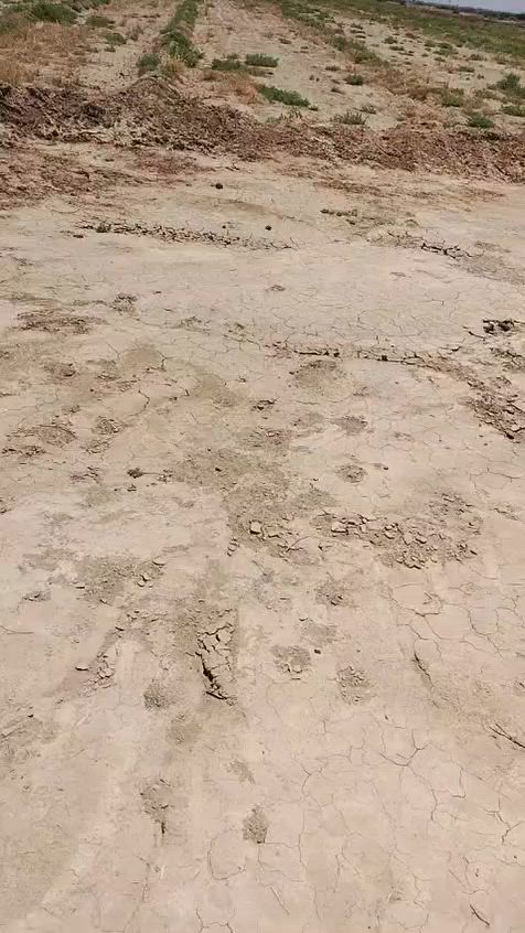 للبيع للبيع
٨ دونم جنس الارض سند ٣٥
مي سقي كهرباء قريبة عليها تصلح سكن او بحيرات اسماك او زراعة او استثمار
الواجهه ٧٢
نزال ٢٧٠
العنوان طريق محمد سكران خان بني سعد قرية نهر البستان للاستفسار مكتب الواحة للوساطة العقارية
***********
