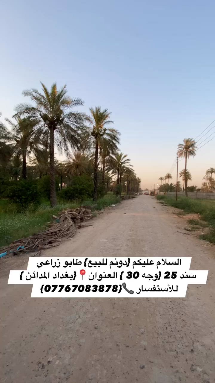 السلام عليكم {دونم للبيع} طابو زراعي سند 25 {وجه 30 } العنوان📍{بغداد المدائن } منطقة الجعارة  يبعد من سدة الجعارة 100 متر /على شارع 12 متر مخدوم كهرباء ومي   
للأستفسار 📞{***********}

 #مزارع #عقارات #بيع #مزرعة #عقار
