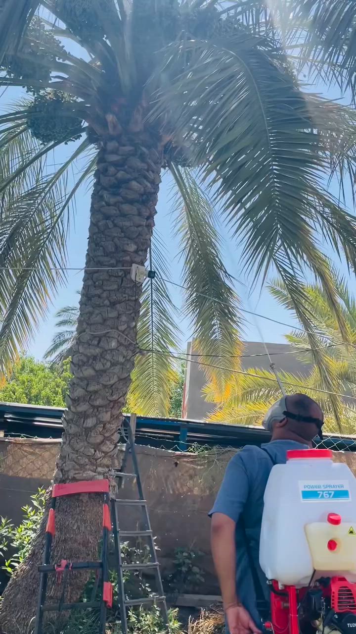 السلام عليكم هولدر بانزين  ٢٥ لتر ياخذ للبيع مستخدم قليل سبب البيع جبته للمزرعة العنب وماكدر ادخل جوه القمريه وارش لان العنب نازل نضيف جدا سعره ٨٥ الف قفل مكاني قلعة سكر الشراي يتفضل خاص  مفيد جداً وأضبط من المرشه اليدويه شاهد الله


**إذا كنت صاحب هذا الإعلان وتريد حذفه لأي سبب، رجاءا أرسل رسالة إلى الدعم الفني**