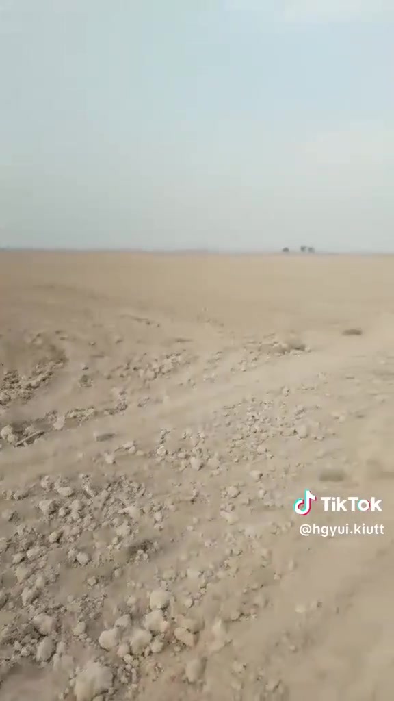 السلام عليكم مستعدين لتسويه اراضي الزراعيه كافه المحافظات ***********،،***********
