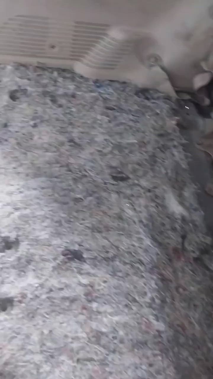 يالله السلام عليكم ورحمة الله
قل اعملو فسيرى الله عملكم ورسوله والمؤمنين جانب من  عمل
اليوم سيارة اخونا ابو عباس من اهالي السماوه..... 
فتح دشبول سياره نوع ابصم  واعادة تحويرها بلكامل. مع غلق الفتحات الي موجوده.خلف الدشبول   وتنضيف البدن الداخلي. من الاتربه 
وتغليفها ب العازل المضغوط لمنع الحراره وصوت المكينه 
مع ضبط الفابريتا ب الكامل. وتقسيم الهواء بصوره صحيحه 
مع غسل وتنضيف الفريز الداخلي من التكلسات والاتربه 
 وتنظيف منظومة التبريد بالكاملة
وشحن الغاز الاصلي... 100%
العنوان ناصريه سوق الشيوخ
تقاطع الوائلي قرب دائرةالكهرباء
 شارع الدجين مقابل دوشمة الزهراء
للاستفسار. اتصال.
وفي الحجامي 
 ***********
***********
 او على الخاص
