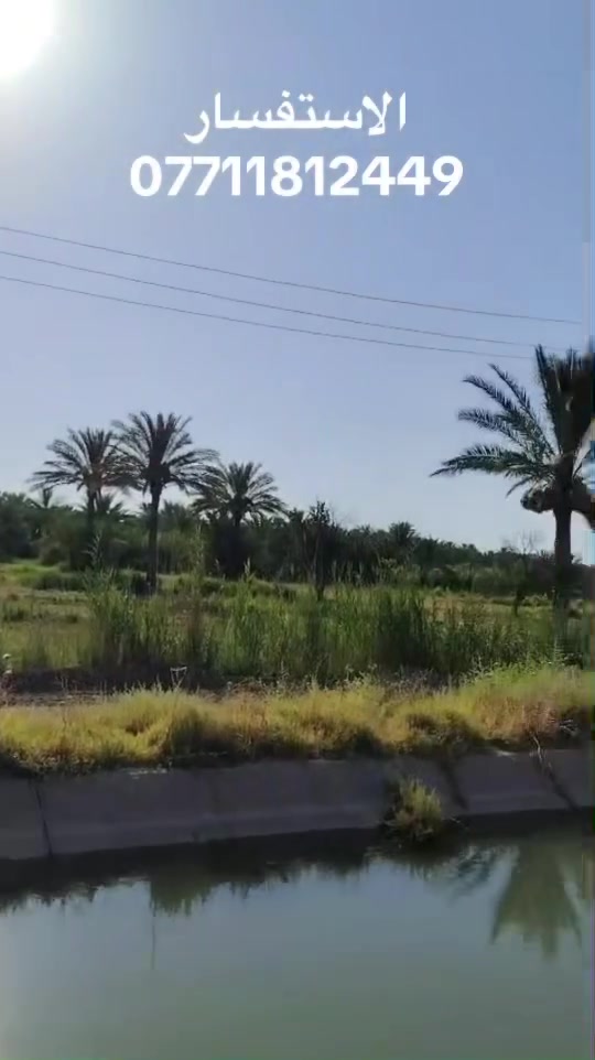 عرض مميز ‼️

السلام عليكم 6 دوانم البيع عقد 35 مجدد الموقع بغداد الراشديه تبعد عن ناحيه الراشديه ثلاث دقائق وعن جزيره بغداد السياحيه 10 دقائق تحتوي على جميع انواع التمور خدمات كامله ماء كهرباء تبليط وماء اساله وماء سقي وسعر الدوانم ايضاً مناسب سعر دونم 45 مليون التفاصيل الباقيه عن دوانم داخل الفيديو الاستفسار اتصل ***********
