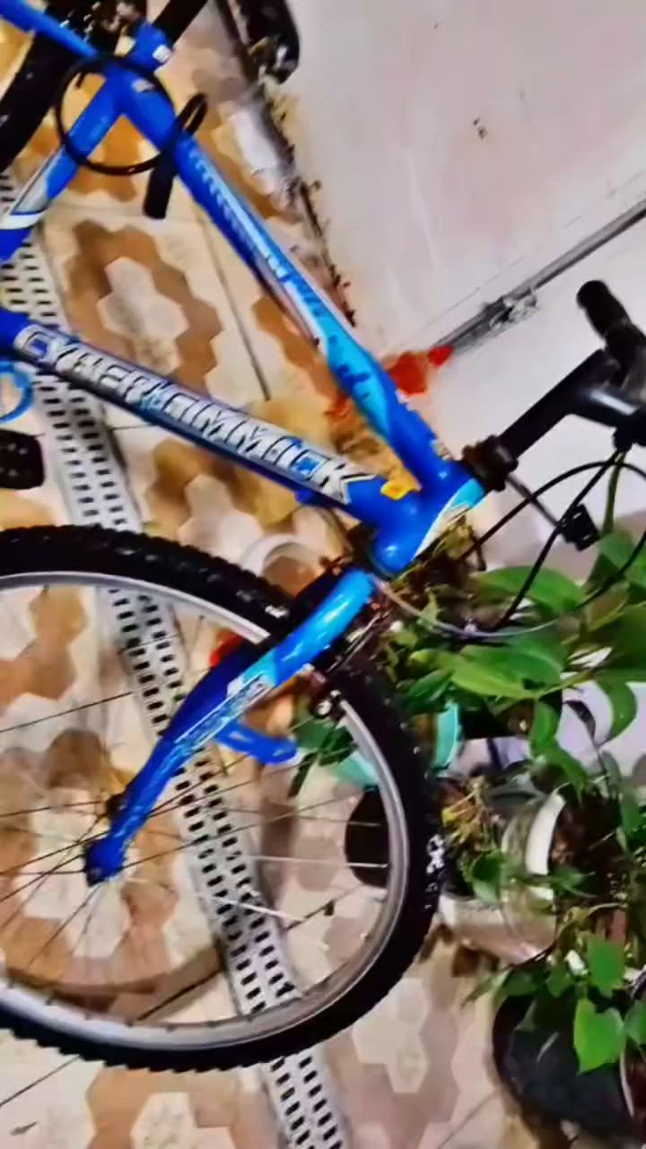 السلام عليكم بايسكل جبلي
حجم 26  سعر 65


**إذا كنت صاحب هذا الإعلان وتريد حذفه لأي سبب، رجاءا أرسل رسالة إلى الدعم الفني**