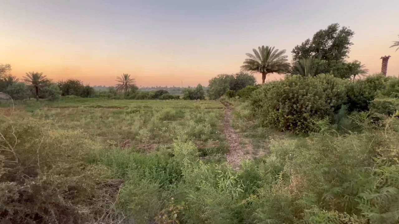 سلام عليكم شاطيه للبيع واجها 40 الموقع بغداد الدوره عرب جبور 📌 للتواصل ومعرفة كافة التفاصيل اتصل بالرقم 

‭***********‬
