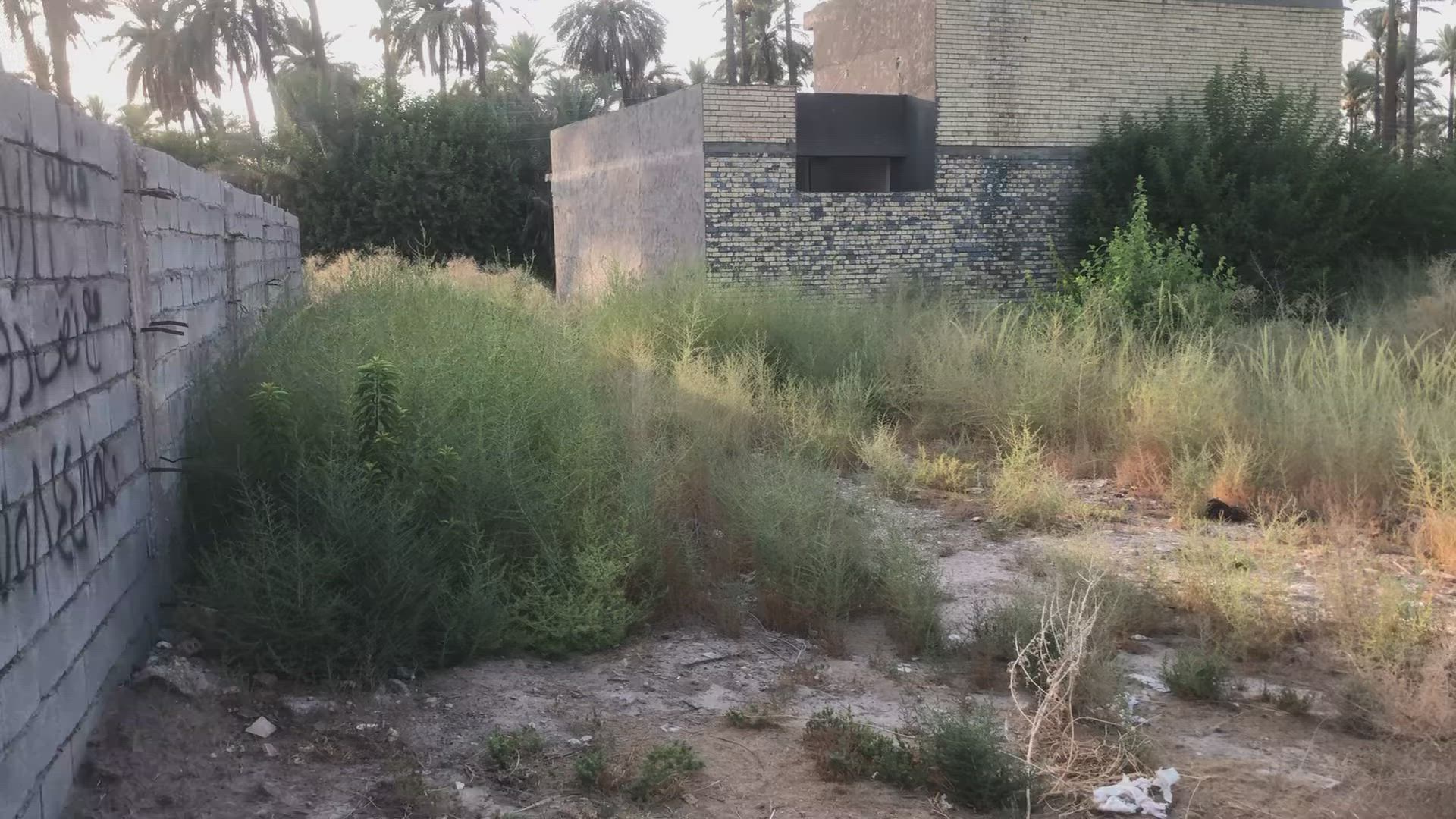 السلام عليكم
قطع أراضي للبيع بمختلف المساحات 
وحسب الطلب 💒
سند 25ملك صرف زراعي 
موقع بغداد- جزيرة بغداد السياحية🎡🎢
- منطقة الفحامة)🛤️
يتوفر
300م
واجهه    12 م.        ونزال.      25م          
200 م
واجهه 8م             ونزال.      25م
400 م
واجهه 16 م          ونزال.     25م
600م
للاستفسار!
***********
متوفر وتساب!
