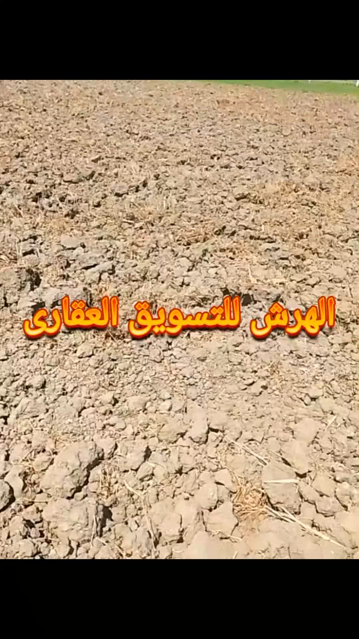 #للتواصل01065573727
#فدانين #للبيع #الاسماعيليه
يوجدبفضل الله #فدانين #ملك #عقد #اخضر #بالاسماعيليه بجوار قريه ابوخليفه #رى #نيلى #مياه شرب #وكهرباء وقريبه جدا من #الخدمات 
#للتواصل01065573727 ا/رضاالهرش للتسويق العقارى
 #اراضى #عقارات #الاسماعيليه #للبيع إشارة الأصدقاء


**إذا كنت صاحب هذا الإعلان وتريد حذفه لأي سبب، رجاءا أرسل رسالة إلى الدعم الفني**