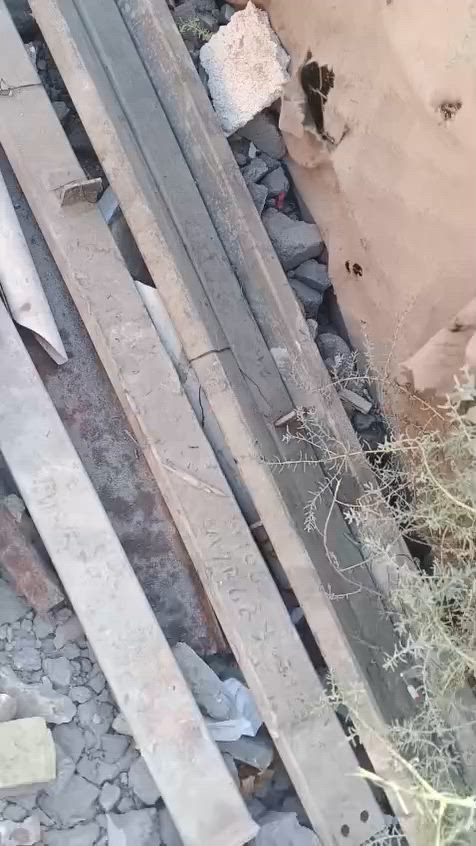 يوجد جينكو خير من الله وشخاط للبيع الاتصال على رقم *********** المكان ابو الخصيب محيله
