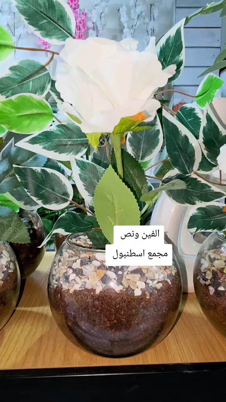 مجمع اسطنبول ارخص الأسعار مفتحين من ٣ الى ١٢ مساء 
عنوان خانقين مقابل معمل النسيج مجاور دلسوز البزاز


**إذا كنت صاحب هذا الإعلان وتريد حذفه لأي سبب، رجاءا أرسل رسالة إلى الدعم الفني**