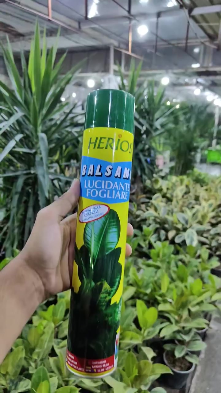 رجع عرض الملمع 🔥🔥🔥 
العنوان: حلة حي الصحة شارع كورنيش
للتواصل ضرغام : ‏‪***********‬‏
https://maps.app.goo.gl/MrkK44hPhZ3qJYfC9
