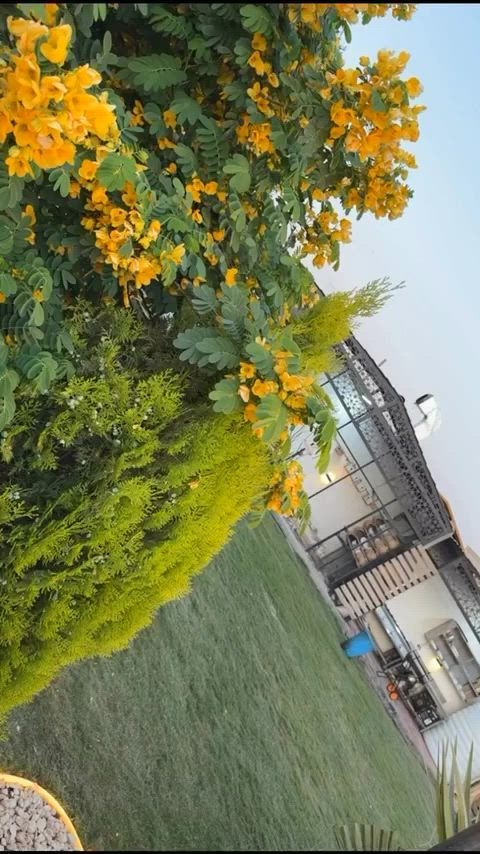 🔥 مزرعة Green farm 🔥
تتميز بـ:

* أجواء هادئة ومناسبة للراحة والاستجمام
* مساحات خضراء واسعة
* موقع مميز وسهل الوصول
* مناسبة للعوائل والجلسات الخاصة

📍 العنوان: بغداد حي الجهاد المكاسب

📞 للاستفسار والحجز:
***********
