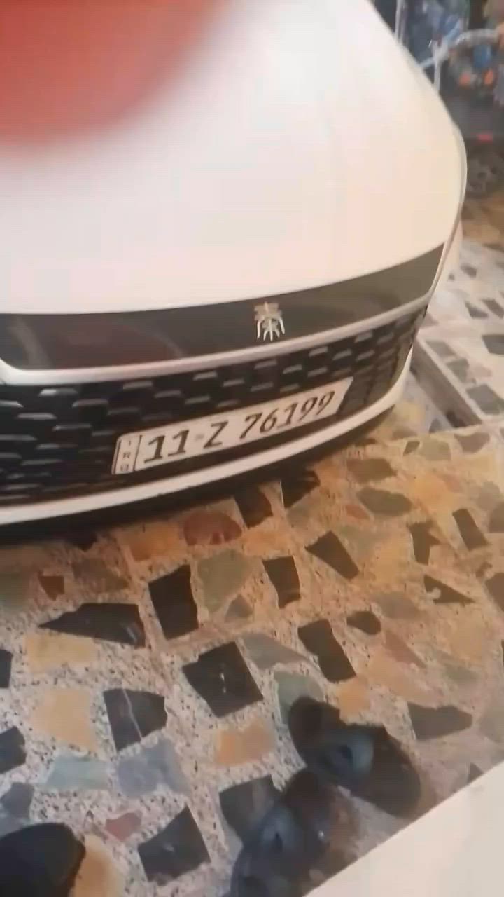 بي وايدي 25 جديده ماشيه 3300 بانزين الضرر موضح بالفديو جدا بسيط سياره بااسمي السعر 18200 وبيها مجال قليل للتواصل *********** المكان بغداد البلديات
