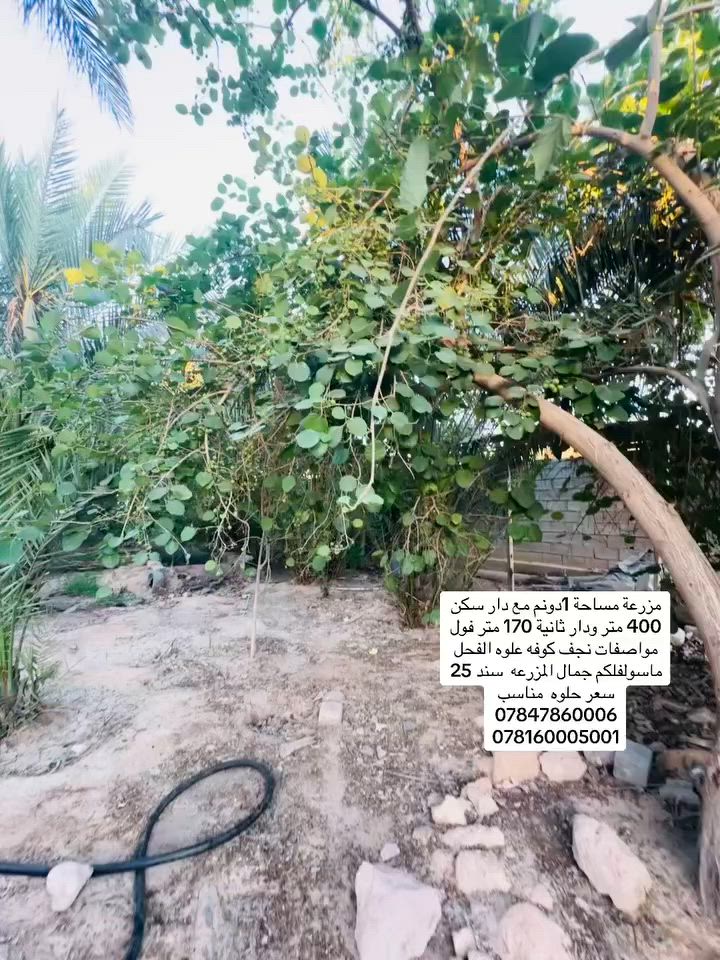 الفيديو مجرد توضيح للزبون انه يوجد مساحة دونم مع دارين سكن الاول 400  والثاني 170 متر 
لمن يرغب يكون التواصل على الواتس آب او اتصال مباشر 
***********
***********
او زيارة المكتب في علوه الفحل شارع الفلل قرب مخزن الموز
