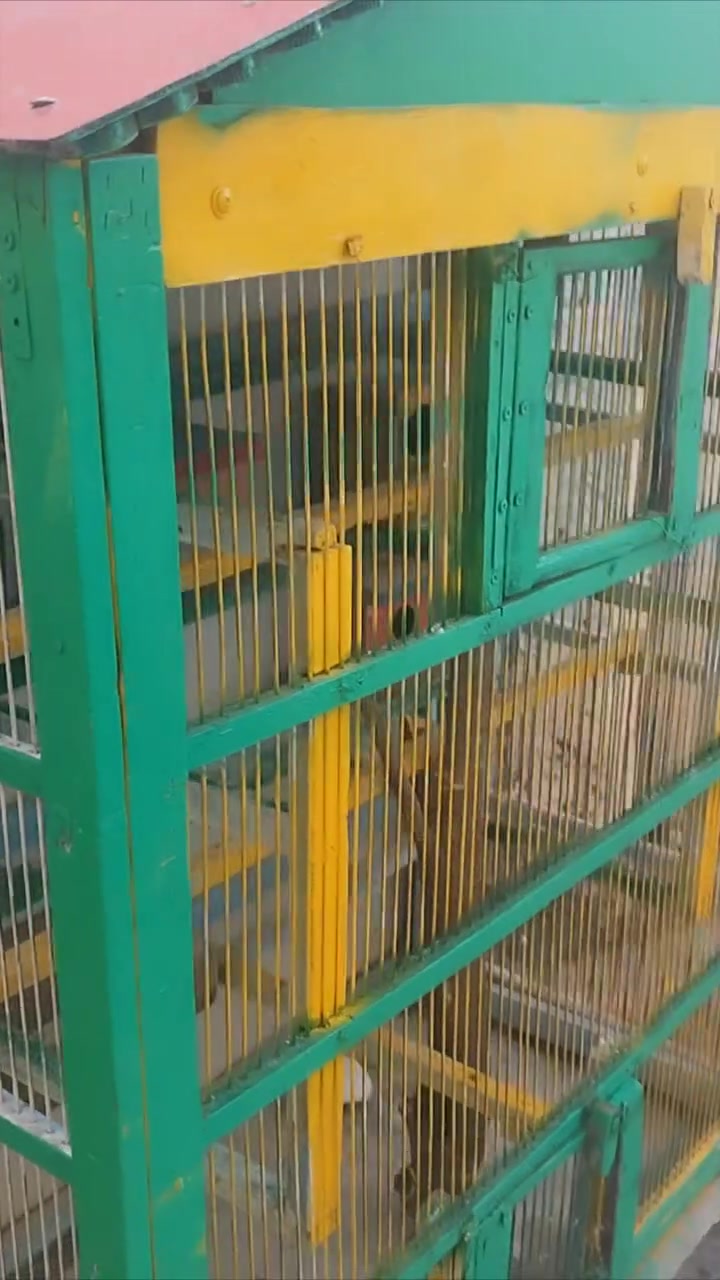 قفص للبيع نظيف تكمة اسيام حديد طول متر ونص وعرض متر مكاني بغداد السيدية قرب تقاطع درويش ***********
السعر مناسب
