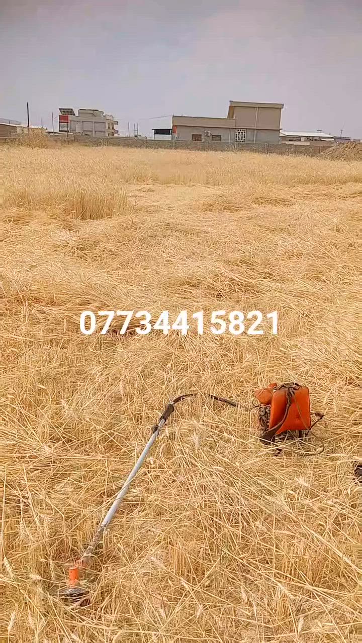 خابر ونجيك للبيت ***********
