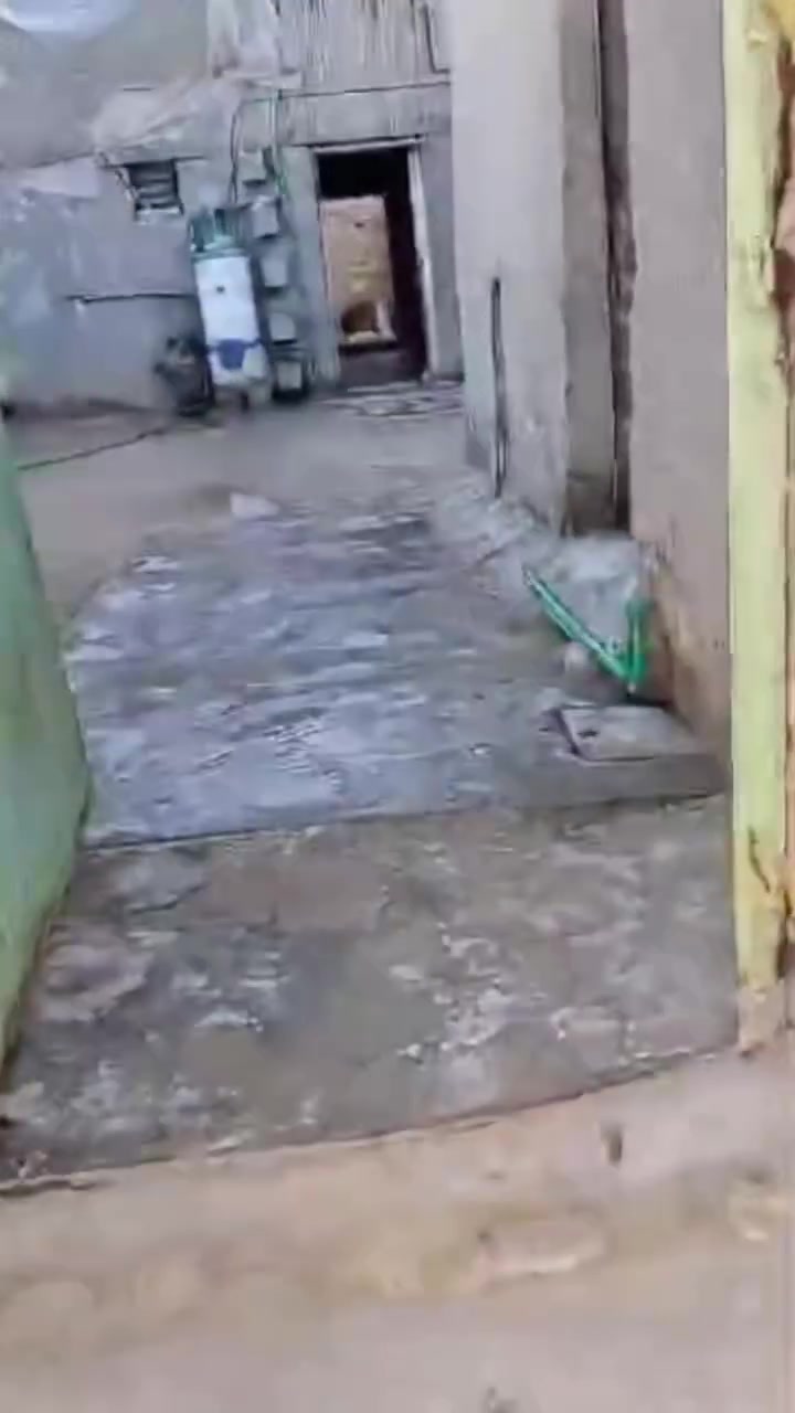 البيت ١٢٠مبني منعنده ٥٠ متر صالة وغرفه وصحيات  خدمات كاملة مي كهرباء سحب قريب على البيت مدرسة زرعي سند ١١٧
جسر ديالى العرفية شارع ابو مروان قبل مضيف خفاجه لاستفسار ***********
