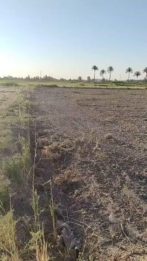 🌟 أرض للبيع – فرصة استثمارية مميزة 🌟

📍 الموقع: الرمادي – ناحية اليرموك – منطقة زنگورة (قبل مزرعة الشيخ إحسان)

🔹 جنس العقار: طابو زراعي سند 25 تحويل مباشر
🔹 المساحة: دونم كامل (2500 متر مربع)
🔹 الأبعاد: 41م × 61م

✅ أرض خصبة وصالحة للزراعة
✅ مناسبة لإنشاء مشروع استثماري أو استراحة أو سكن مستقبلي
✅ موقع مميز وهادئ وآمن يوفر الراحة والاستقرار
✅ شارع 5 متر مع واجهة ممتازة
✅ تبعد عن السدة حوالي 200 متر فقط
✅ مجمع الماء يبعد 100 متر
✅ الكهرباء الوطنية متوفرة
✅ خدمات جاهزة وقريبة

إذا كنت تبحث عن أرض تجمع بين الموقع الجيد والسعر المناسب وفرصة الاستثمار الناجح، فهذه الأرض خيار ممتاز. جاهزة للبدء بمشروعك مباشرة، فقط أنزل موادك وابدأ العمل.

📞 للاستفسار والسعر:
*********** واتساب
*********** واتساب

أو مراسلة صفحة المكتب مباشرة.

🏢 مكتب عدنان العسافي للخدمات العقارية
الرمادي – ناحية اليرموك
قرب بناية ناحية اليرموك – الفرع الأول بعد الناحية – طريق مدرسة الشمس للبنات.

🔸 نستقبل جميع العروض العقارية (بيع – شراء – إيجار) داخل مدينة الرمادي والمناطق المحيطة.#الرمادي #اليرموك #زنگورة #عقارات_الرمادي #اراضي_للبيع #ارض_للبيع #استثمار_عقاري #عقار #العراق #الانبار #فرصة_استثمارية #طابو_زراعي #سند25 #بيع_اراضي #مشاريع_استثمارية #اراضي_الانبار #مكتب_عدنان_العسافي #خدمات_عقارية #شراء_ارض #عقار_الرمادي #استثمار #اراضي_زراعية #عروض_عقارية #البيع_والشراء #عقارات_العراق #فرص_استثمار #الرمادي_الانبار #مكاتب_عقارية #اراضي_اليرموك #عروض_الانبار
