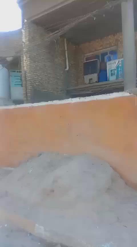 ***********
