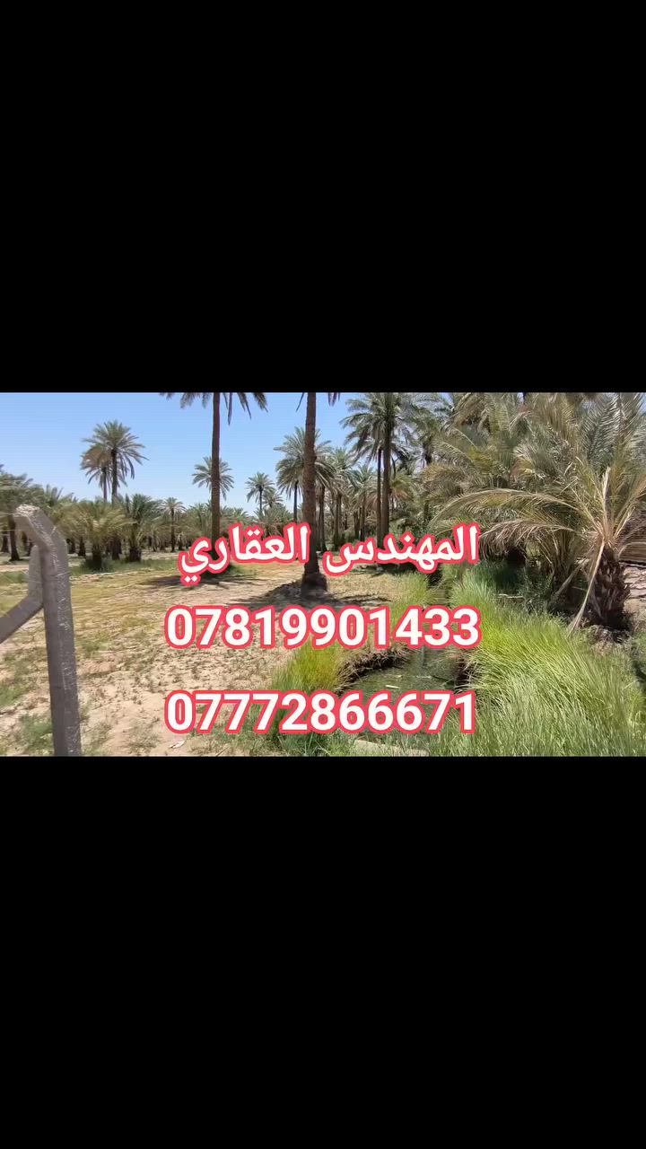 📢 فرصة مميزة للبيع
🔸 دونمين ونص للبيع
🔸 واجهة 45 متر
🔸 الأرض مسيّجة بالكامل (BRC)
🔸 مزروعة نخيل نشو 🌴
📍 الموقع: كربلاء – طريق طويريج – منطقة الدويهيّة
📏 تبعد عن الشارع العام حوالي 2.5 كم
💡 الخدمات متوفرة بالكامل:
✔️ ماء إسالة
✔️ كهرباء
✔️ ماء سقي
✔️ تبليط للباب
✨ الأرض جاهزة للسكن أو مشروع (استراحة / بستان)
📍 زوروا موقعنا/كربلاء_طويريج/حي ابو جوعانه 
📞 للاستفسار:        سيد حسين 
***********☎️           ***********☎️
