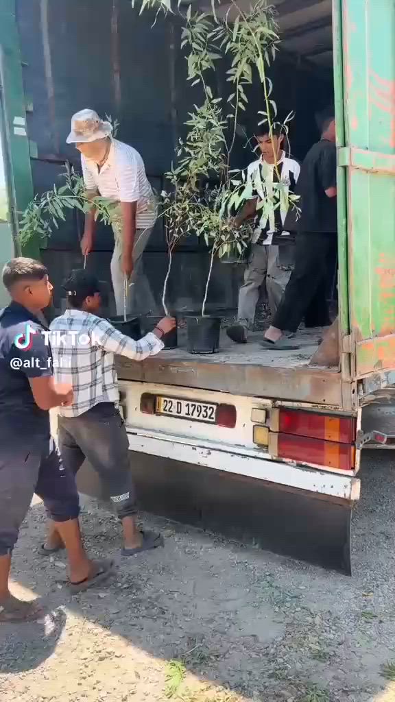 السلام عليكم
توزيع نباتات في مشتل التفاحه يوم السبت الساعه الخامسه عصرا التوزيع مجاننأ يشمل كل محافظه ديالى العنوان ديالى بعقوبه طريق الهويدر قرب مشتل البنفسج


**إذا كنت صاحب هذا الإعلان وتريد حذفه لأي سبب، رجاءا أرسل رسالة إلى الدعم الفني**
