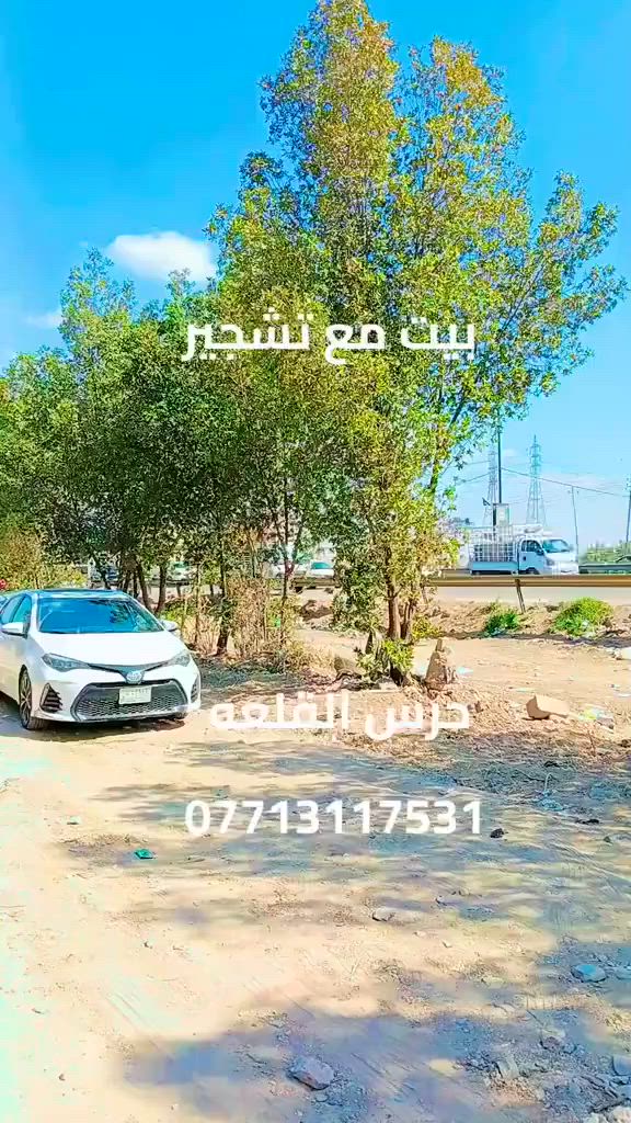 #بيت#دوره#ملك صرف #تشجير #مكتب#حرس#القلعه
***********
