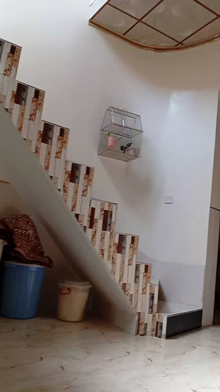 بلبل للبيع جالس فول فحل ***********
