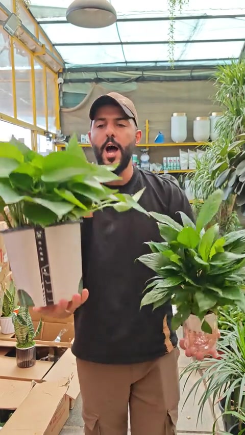 وصلت  النباتات المائيه😍🔥للاستفسار  *********** #abed_flower #العراق #شعب_الصيني_ماله_حل😂😂 #نباتات #افكار 
