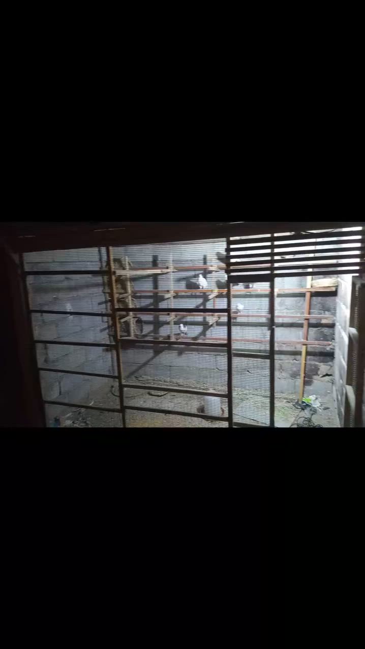 هاي واجهه للبيع+,سقف سندويج،سعرهن60الف


**إذا كنت صاحب هذا الإعلان وتريد حذفه لأي سبب، رجاءا أرسل رسالة إلى الدعم الفني**