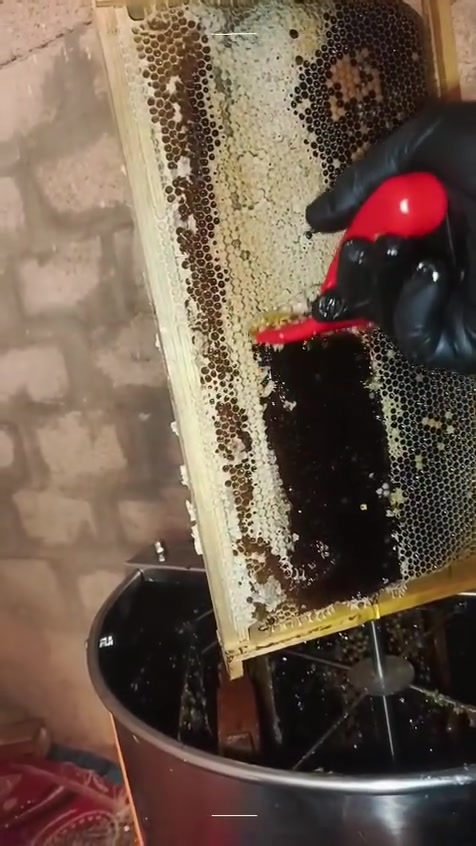 يتوفر لدى منحل أبو علي الحسيني عسل بلشمع وبدون شمع توفر لدينا حبوب اللقاح يوجد لدينا خدمة توصيل لكل محافظات العراق 
عسل بلشمع 40
عسل بدون شمع 30
شمع ختم العسل 45
***********
منحل أبو علي الحسيني محافظة واسط قظاء النعمانية شارع الحولي بيت السيد أبو حيه

