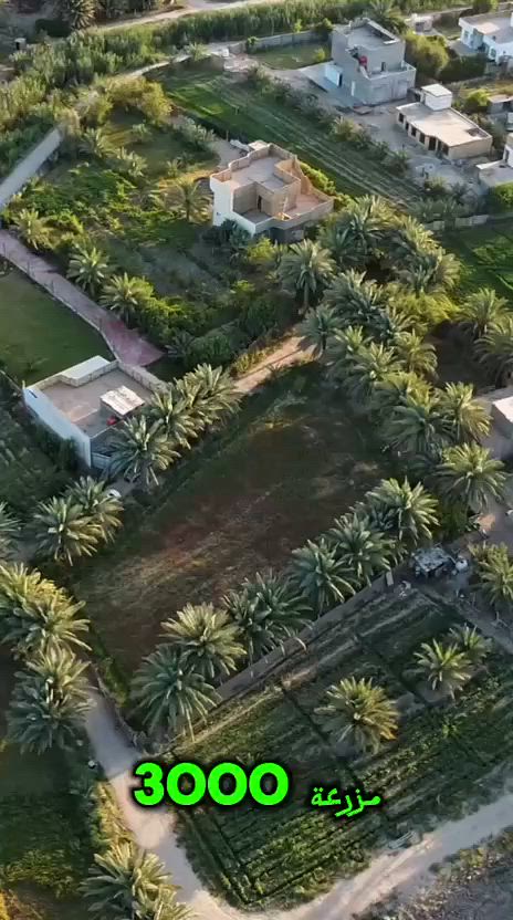 فرصة ذهبيه لا تعوض 
3000 متر طابو زراعي سند 25 
موقع مميز وجميل في الحله شارع 100
كهرباء وماء وكافه الخدمات 

للاستفسار اكثر زورونا في  أوتاد للوساطة العقارية 2 
حله _ شارع ٦٠ مقابل مندي بلاد اليمن 
او التواصل على الرقم ***********
