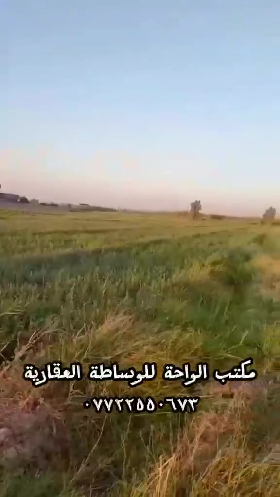 للبيع للبيع
٦ دونم طابو زراعي سند ٢٥ تحويل بسم المشتري تباع حسب الطلب دونم او اكثر...
خدمات كاملة ماء اسالة وماء سقي وكهرباء منطقة سكنية 
العنوان خان بني سعد قرية خلوف
للاستفسار مكتب الواحة للوساطة العقارية
***********
تابع الصفحة ليصلك كل العروض🥰
