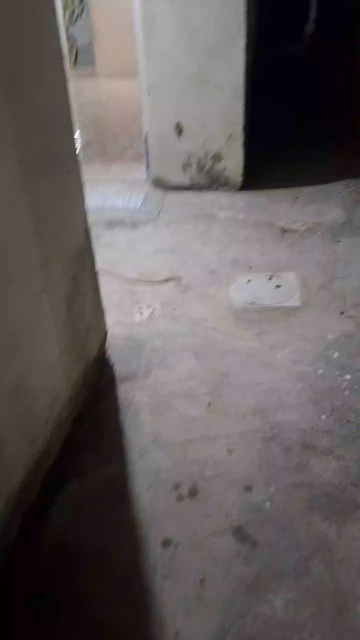 بيت لايجار في حي الشرطه الثانيه قرب لاكارم
لاستفسار ‏‪***********‬‏
***********
