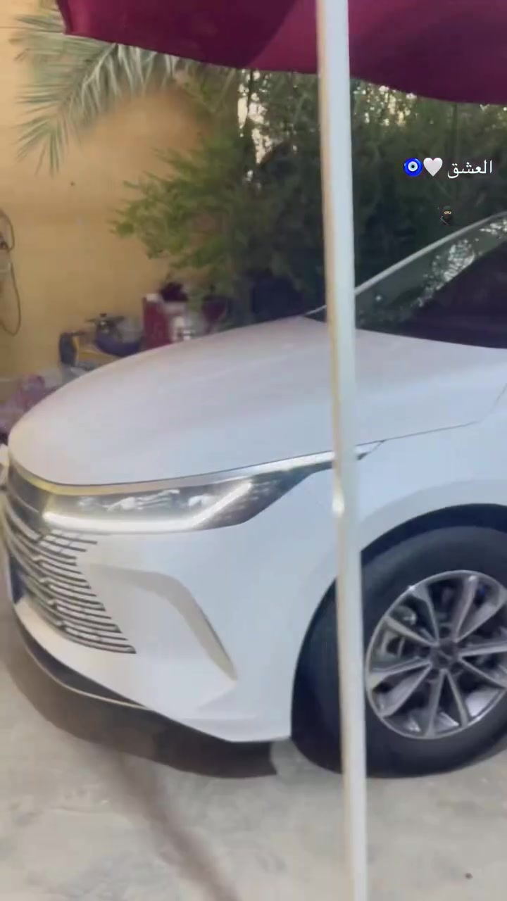 للبيع بيوايدي دستروير كفاله عامه تحويل ثاني يوم موديل 25 طالعه 26 سياره جديده بمعنه الكلمه رقم كربله مكاني كربله تفاصيل رقم ***********سعر 1900مليوم 700
