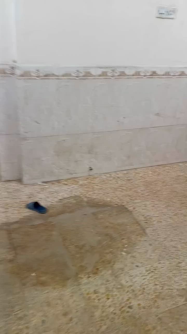 شقه للايجارحي القدس مقابل الانصار سايدين قدس انصار عرفه وصاله مطبخ وصحيات 175الف
***********
