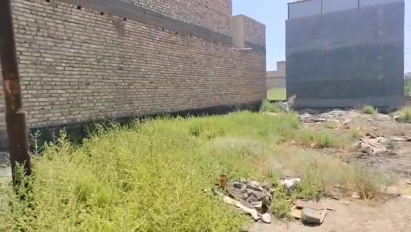 قطعة للبيع زراعي ٢٠٠م بمنطقة ركية وفاضل الزراعي خدمات ماء وكهرباء طبعن ماء اسالة مو بير بنص المنطقة واجهة ١١ونص ونزال ١٨ للإستفسار ***********
