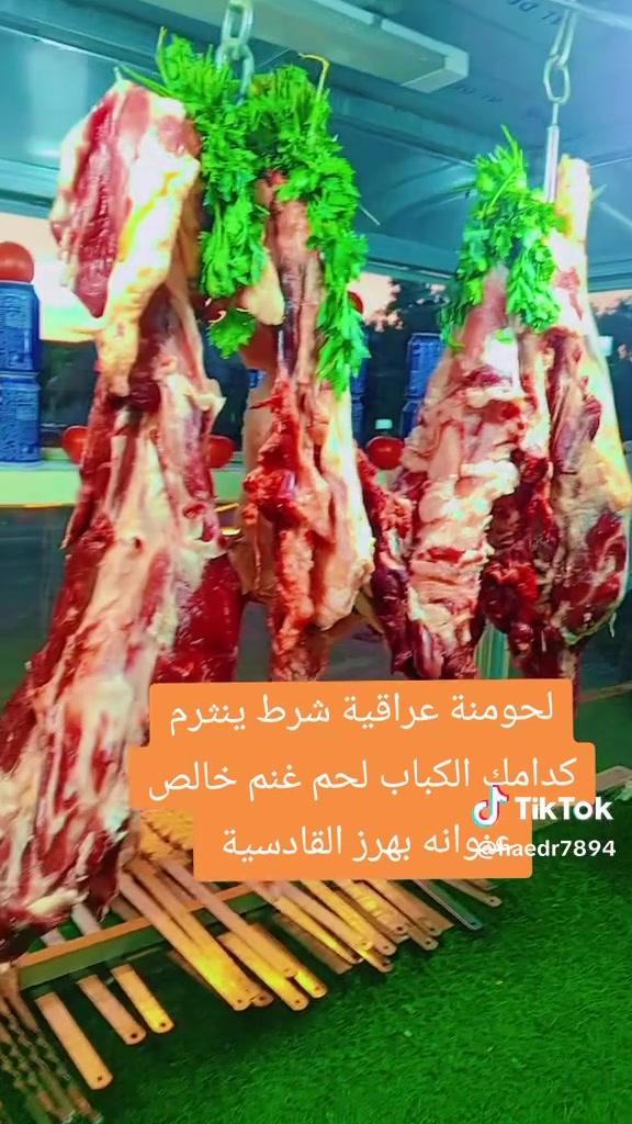 مشويات حيدر المختار بهرز حي القادسية الشارع العام يوجد خدمة توصيل مجاني ***********
