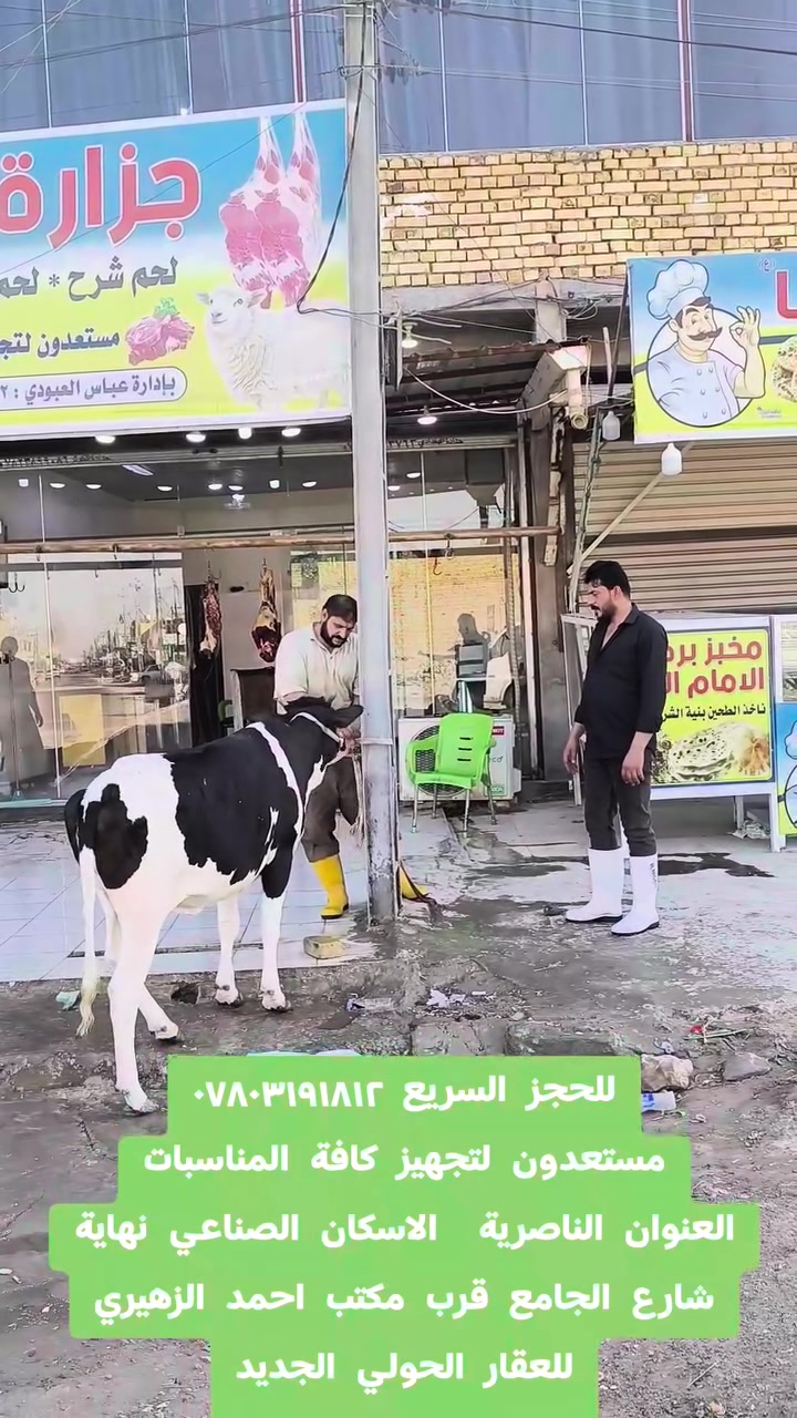 للحجز السريع ***********
مستعدون لتجهيز كافة المناسبات
العنوان الناصرية  الاسكان الصناعي نهاية شارع الجامع قرب مكتب احمد الزهيري للعقار الحولي الجديد
