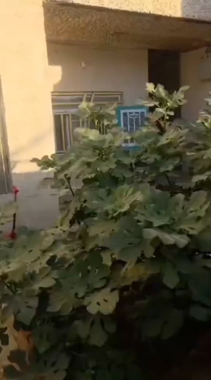 ٢٠٠ متر طابقين بناء حديث يحتوي على ٥ غرف نوم 
موقع البيت قطاع ١٥ خلف سايدين المدارس قرب اسواق جكليته
موقع جيد قريب عل مدراس 
الشارع تبليط البيت((مطلوب اسكان))
للتفاصيل ***********
