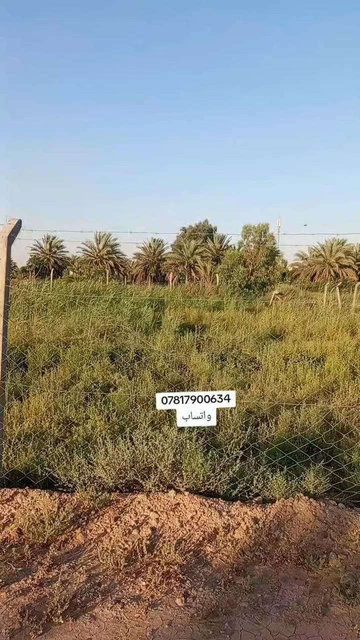 السلام عليكم 
قطعه ارض للبيع مساحه 800م العنوان بغداد الدوره بدايه هور رجب مجمع الشواطئ للاستفسار اكثر
***********
#عقارات_العراق #عقارات_بغداد #عقارات #بغداد

