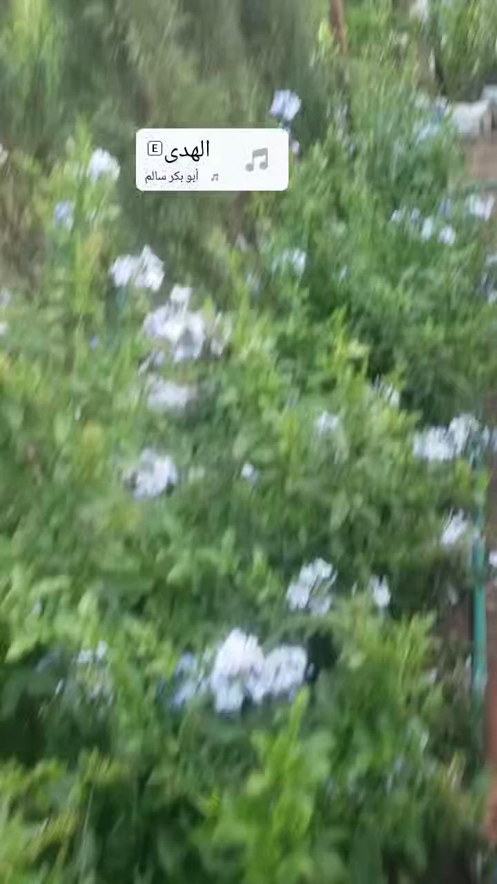 مشتل النهضه


**إذا كنت صاحب هذا الإعلان وتريد حذفه لأي سبب، رجاءا أرسل رسالة إلى الدعم الفني**